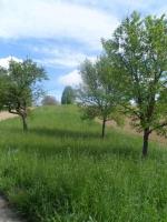 Chantier nature participatif 