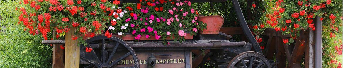 Kappelen Village fleuri-eb00a5